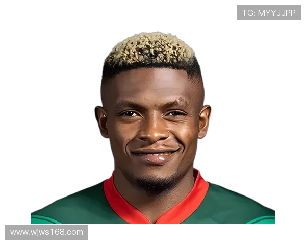 南京城市签下喀麦隆前锋恩戈姆